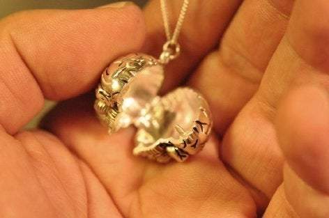 Original Brain Locket
