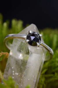 BLACK ROSE