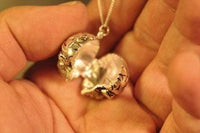 Original Brain Locket