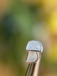 Half Moon studs